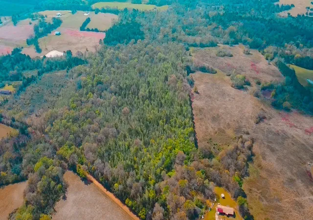 Photo 2 of Land for sale at Tbd Cr 4308 Reno Rd, Naples, TX 75568 | MLS# 21240563 | Listing updated on 2026-07-07