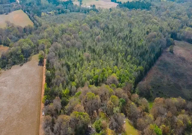 Photo 3 of Land for sale at Tbd Cr 4308 Reno Rd, Naples, TX 75568 | MLS# 21240563 | Listing updated on 2026-07-07