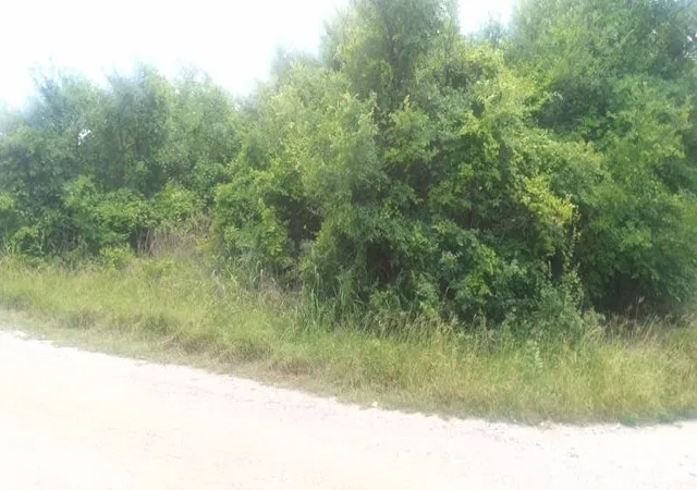 Photo 3 of Land for sale at 5643 Black Pine Cir, Granbury, TX 76048 | MLS# 21242831 | Listing updated on 2026-07-14
