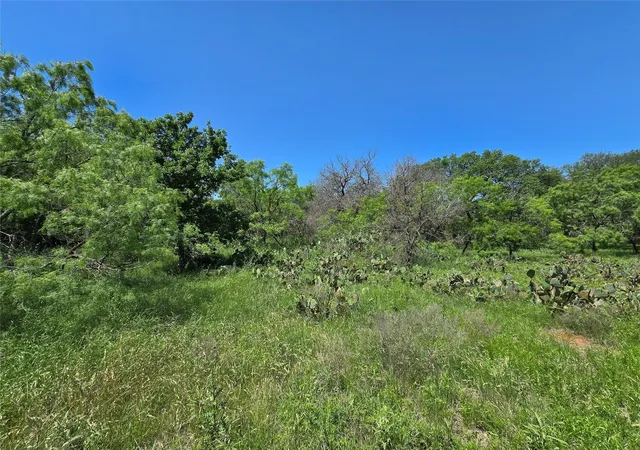 Homes for sale in Gustine, TX | 450 Cr 250, Gustine, TX 76455 | MLS# 21243201