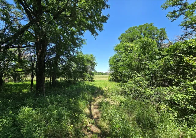 Homes for sale in Gustine, TX | 450 Cr 250, Gustine, TX 76455 | MLS# 21243201
