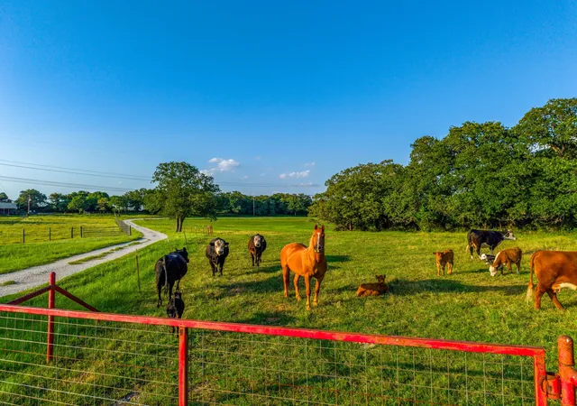 Photo 1 of House for sale at 141 County Road 4793, Boyd, TX 76023 | MLS# 21242587 | Listing updated on 2026-09-28