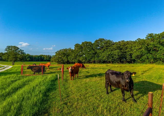 Photo 3 of House for sale at 141 County Road 4793, Boyd, TX 76023 | MLS# 21242587 | Listing updated on 2026-09-28