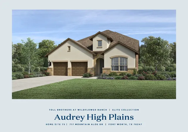 Single family home for sale at 717 Mountain Aloe Dr, Fort Worth, TX 76102 | MLS# 21243422