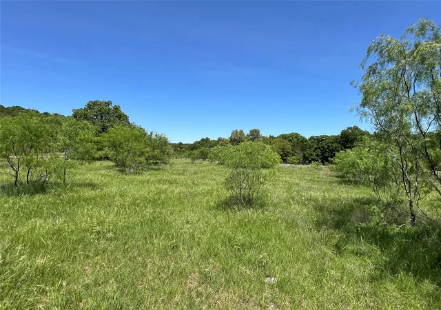 Homes for sale in Gordon, TX | Tbd Lake Creek Road, Gordon, TX 76453 | MLS# 21244046