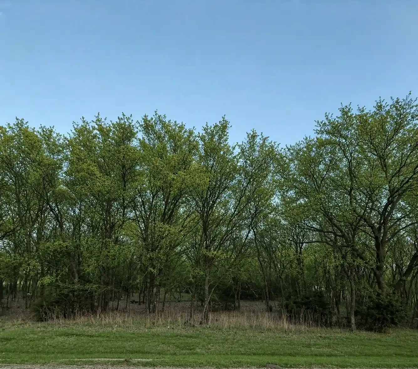Photo 1 of Land for sale at 8093 Canja Dr, Fort Worth, TX 76126 | MLS# 21222658 | Listing updated on 2026-06-11