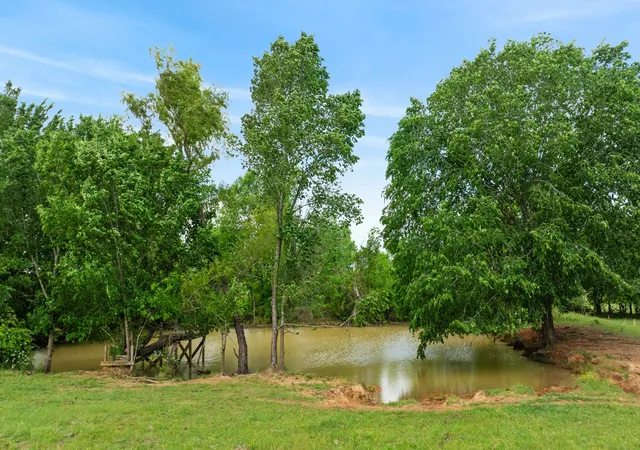 Homes for sale in Bagwell, TX | 000 Cr 2110, Bagwell, TX 75412 | MLS# 21243464