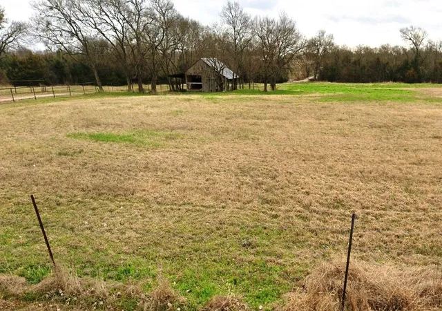 Homes for sale in Blue Ridge, TX | Lot 2 County Road 632, Blue Ridge, TX 75424 | MLS# 21244756