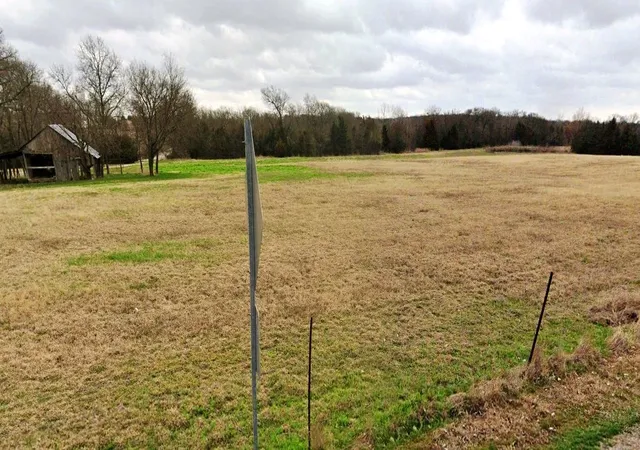 Homes for sale in Blue Ridge, TX | Lot 2 County Road 632, Blue Ridge, TX 75424 | MLS# 21244756