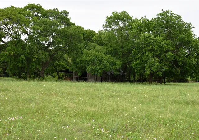 Homes for sale in Blue Ridge, TX | Lot 2 County Road 632, Blue Ridge, TX 75424 | MLS# 21244756