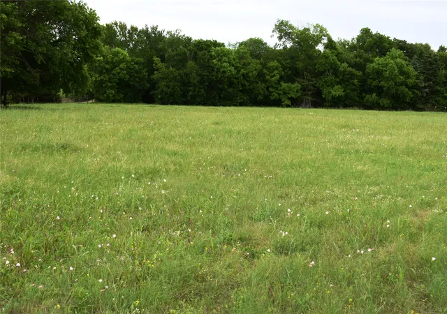 Homes for sale in Blue Ridge, TX | Lot 2 County Road 632, Blue Ridge, TX 75424 | MLS# 21244756