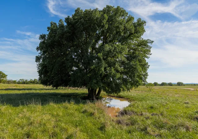 Photo 2 of Land for sale at Tbd Cr 132, Coleman, TX 76834 | MLS# 21241900 | Listing updated on 2026-07-10