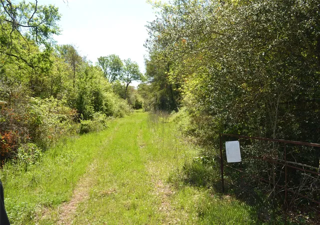 Photo 2 of Land for sale at 977 E, Leona, TX 75850 | MLS# 21225627 | Listing updated on 2026-09-01