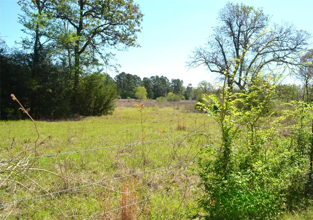 Photo 3 of Land for sale at 977 E, Leona, TX 75850 | MLS# 21225627 | Listing updated on 2026-09-01
