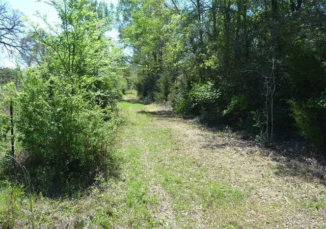 Photo 3 of Land for sale at 977 E, Leona, TX 75850 | MLS# 21225627 | Listing updated on 2026-09-01