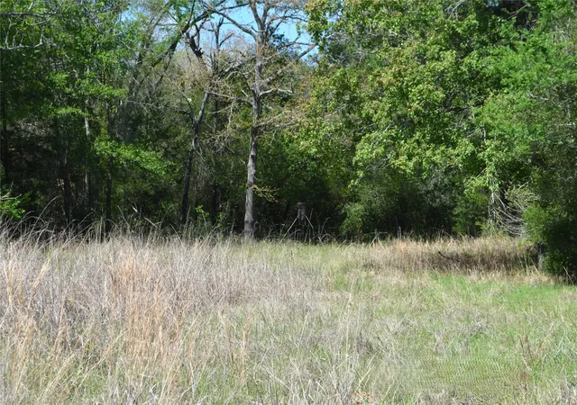 Photo 4 of Land for sale at 977 E, Leona, TX 75850 | MLS# 21225627 | Listing updated on 2026-09-01