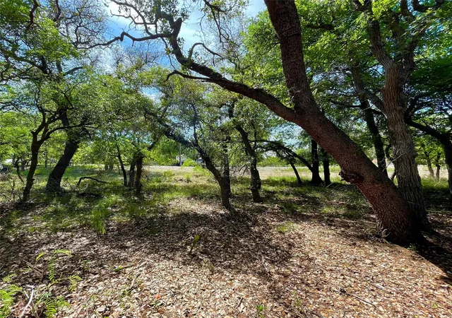 Homes for sale in May, TX | Tbd (Lots 785, 786) Oak Point Dr, May, TX 76857 | MLS# 21245379