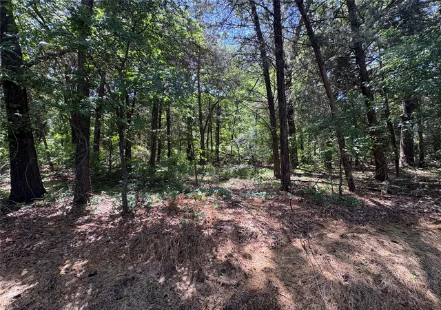 Photo 3 of Sale Pending at 25 Acres County Road 2348, Pickton, TX 75471 | MLS# 21244283 | Listing updated on 2026-07-14