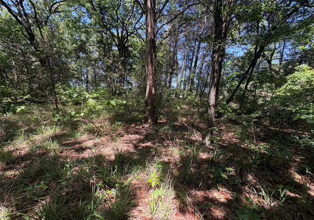 Photo 3 of Sale Pending at 25 Acres County Road 2348, Pickton, TX 75471 | MLS# 21244283 | Listing updated on 2026-07-14