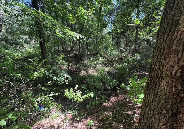 Photo 4 of Sale Pending at 25 Acres County Road 2348, Pickton, TX 75471 | MLS# 21244283 | Listing updated on 2026-07-14