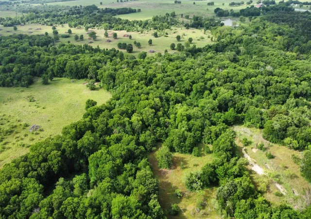 Photo 4 of Land for sale at Tbd Hcr 33352, Hubbard, TX 76648 | MLS# 21244628 | Listing updated on 2026-08-17