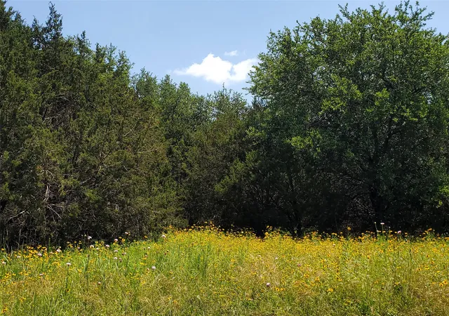 Photo 3 of Land for sale at 122 Hcr 2133, Whitney, TX 76692 | MLS# 21238269 | Listing updated on 2026-08-04