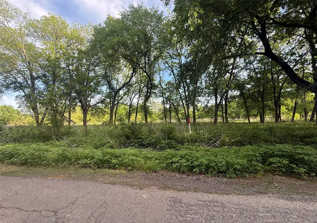 Homes for sale in Blossom, TX | Tbd Main St, Blossom, TX 75416 | MLS# 21246022