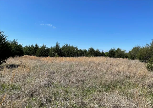 12th image of Tbd 2 County Road 1400, Ravenna, TX 75476 | MLS# 21245225