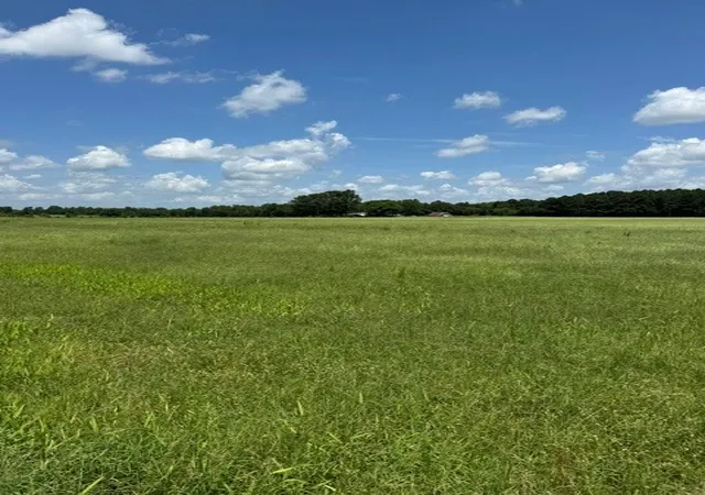 Photo 3 of Land for sale at 2852 Fm 312, Winnsboro, TX 75494 | MLS# 21244511 | Listing updated on 2026-08-30