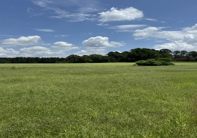 Photo 3 of Land for sale at 2852 Fm 312, Winnsboro, TX 75494 | MLS# 21244511 | Listing updated on 2026-08-30
