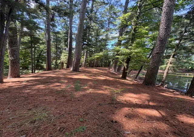 Photo 4 of Land for sale at 2852 Fm 312, Winnsboro, TX 75494 | MLS# 21244511 | Listing updated on 2026-08-30