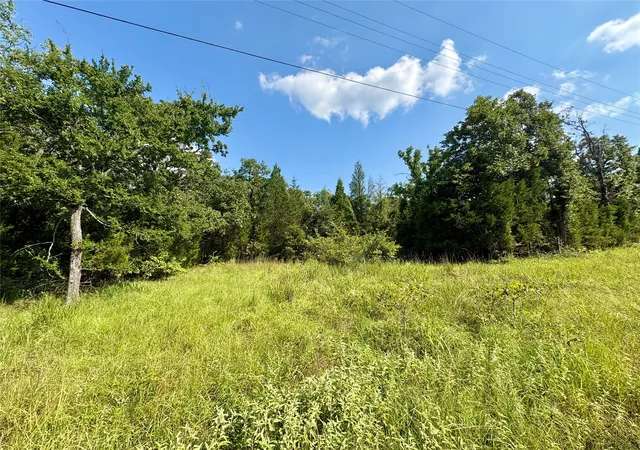 Homes for sale in Log Cabin, TX | 0000 Paladin Dr, Log Cabin, TX 75148 | MLS# 21222406