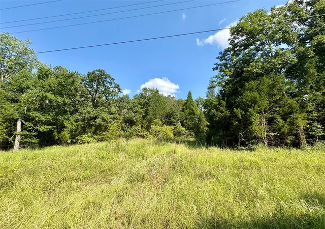 Homes for sale in Log Cabin, TX | 0000 Paladin Dr, Log Cabin, TX 75148 | MLS# 21222406