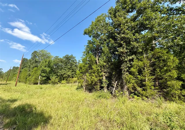 Homes for sale in Log Cabin, TX | 0000 Paladin Dr, Log Cabin, TX 75148 | MLS# 21222406