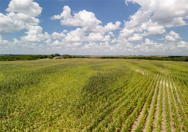 Homes for sale in Hubbard, TX | 1254 Acres | Tract 4 County Rd 3307, Hubbard, TX 76648 | MLS# 21246578