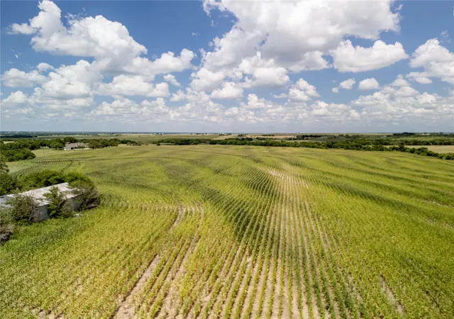 Homes for sale in Hubbard, TX | 1254 Acres | Tract 3 County Rd 3307, Hubbard, TX 76648 | MLS# 21246596