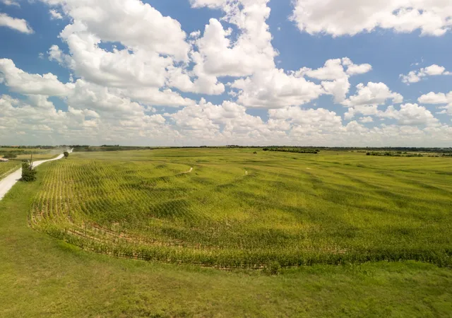 Homes for sale in Hubbard, TX | 11 Acres | Tbd County Rd 3150, Hubbard, TX 76648 | MLS# 21246625