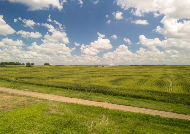 Homes for sale in Hubbard, TX | 11 Acres | Tbd County Rd 3150, Hubbard, TX 76648 | MLS# 21246625