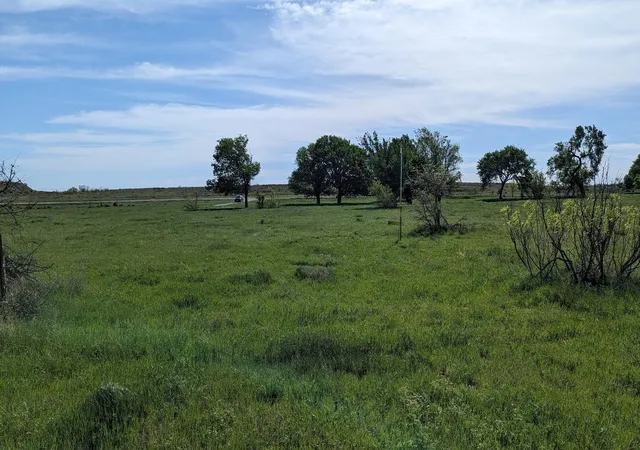 Homes for sale in Bellevue, TX | Lot 30 High Plains Trl, Bellevue, TX 76228 | MLS# 21245105