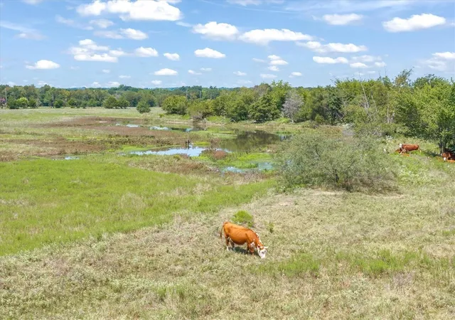 Photo 3 of Sale Pending at 00a Vz County Road 3804, Wills Point, TX 75169 | MLS# 21247179 | Listing updated on 2026-07-13
