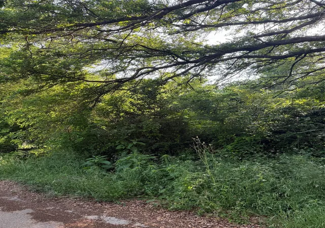 Photo 2 of Land for sale at 10946 Clover Ln, Frankston, TX 75763 | MLS# 21241928 | Listing updated on 2026-08-24