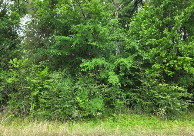 Photo 2 of Sale Pending at Tbd Morning Dove Rd, Trinidad, TX 75163 | MLS# 21247292 | Listing updated on 2026-07-27
