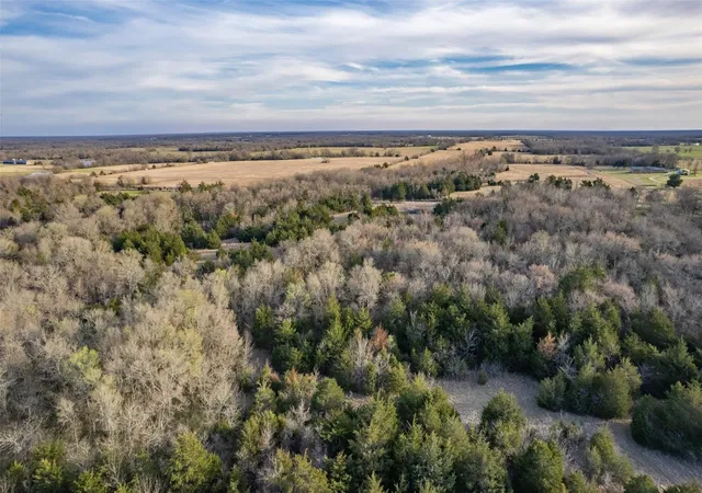 Photo 9 of Land for sale at Tract 1 County Road 3207, Campbell, TX 75422 | MLS# 21244730 | Listing updated on 2026-10-07
