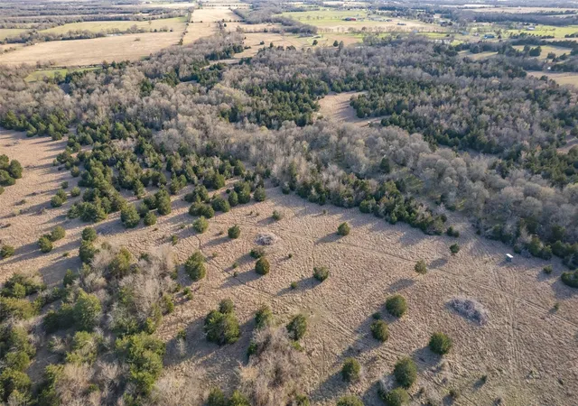 Photo 4 of Land for sale at Tract 3 County Road 3207, Campbell, TX 75422 | MLS# 21244743 | Listing updated on 2026-08-27