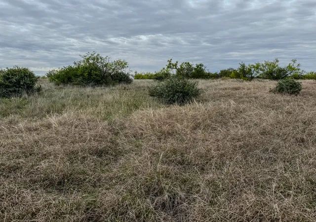 Homes for sale in Voss, TX | 1124 County Road 322, Voss, TX 76888 | MLS# 21247519