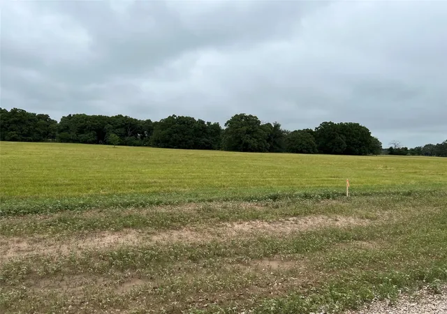 Photo 3 of Land for sale at 9459 Private Road 6907, Eustace, TX 75124 | MLS# 21248152 | Listing updated on 2026-09-22