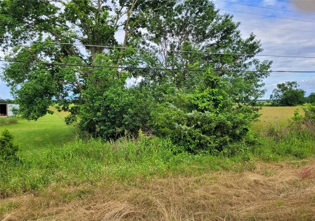 Homes for sale in Clarksville, TX | Tbd N Hwy 37, Clarksville, TX 75426 | MLS# 21248178