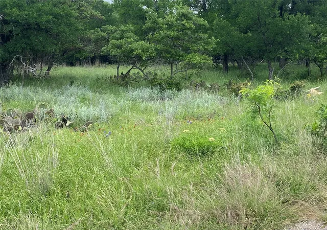 Photo 3 of Land for sale at 3040 Cutter Cir, May, TX 76857 | MLS# 21248702 | Listing updated on 2026-07-17
