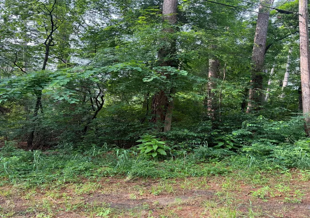 Photo 1 of Land for sale at 23575 Three Points Dr, Frankston, TX 75763 | MLS# 21247315 | Listing updated on 2026-08-24