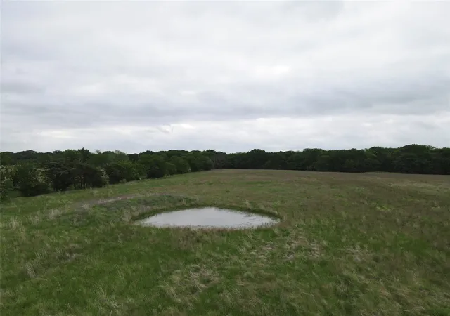 9th image of Tbd County Road 1145, Ravenna, TX 75476 | MLS# 21248890